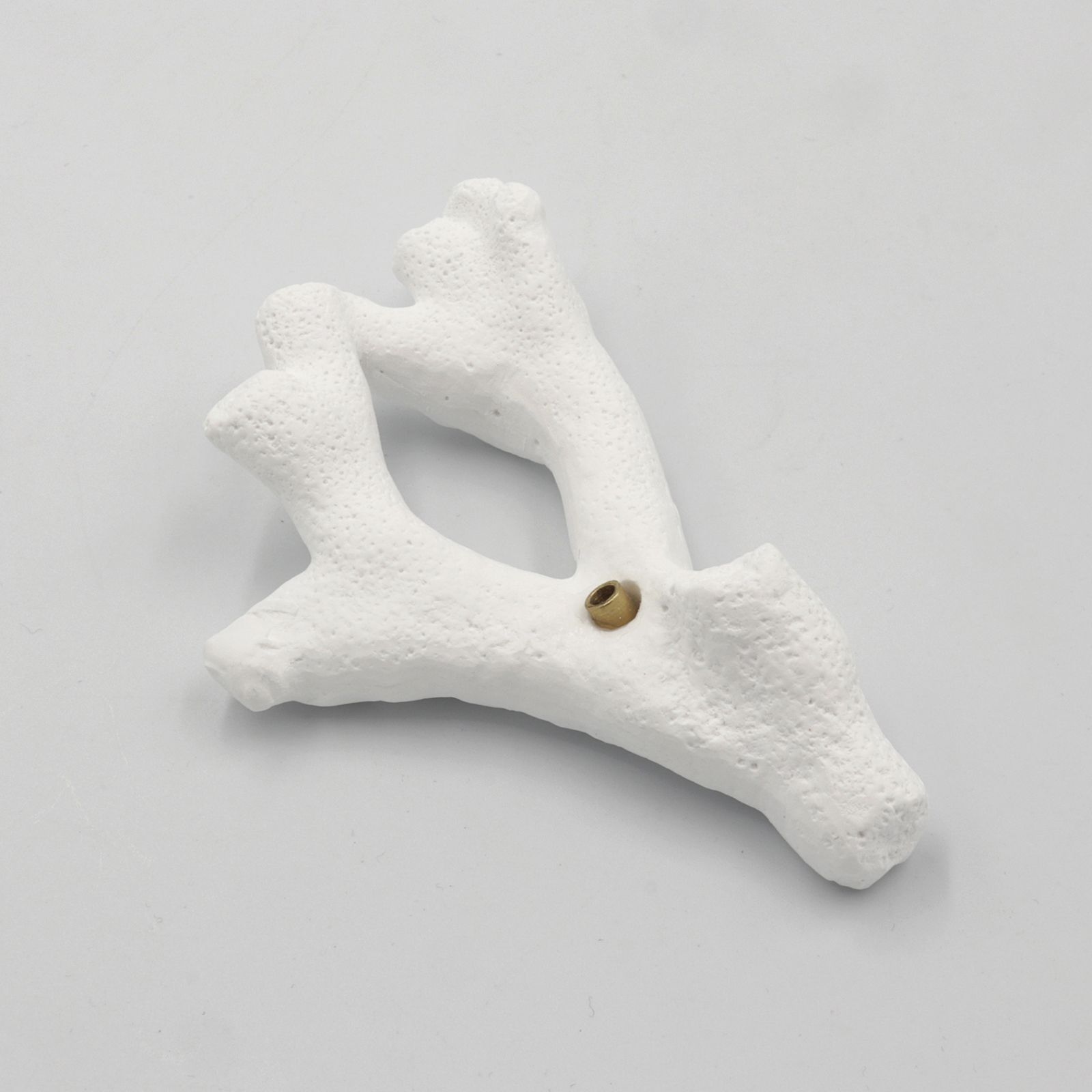 「coral incense holder」staghorn インセンスホルダー