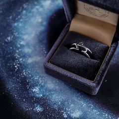 【Silver Jewel】horoscope ring Capricon やぎ座 シルバー925