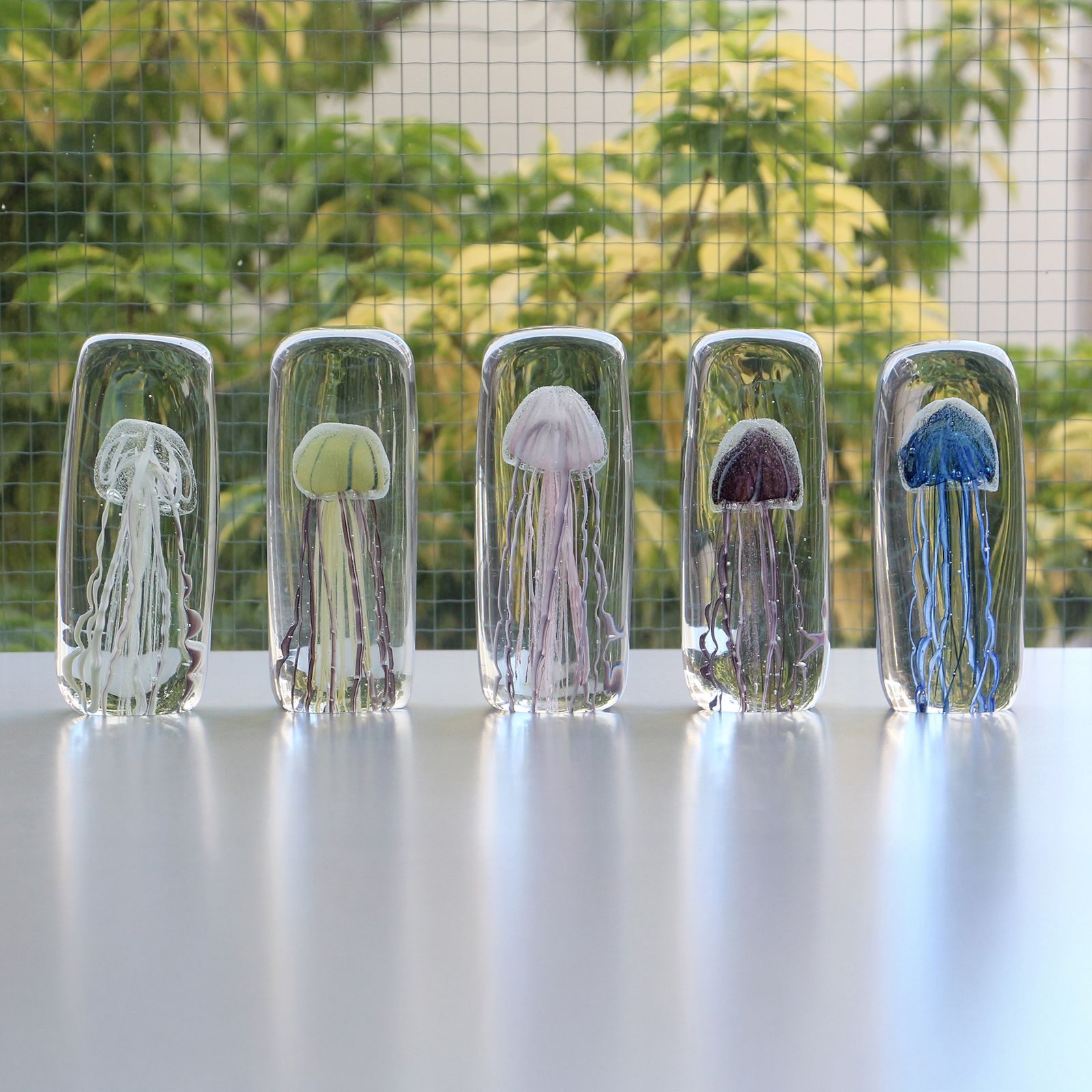 JELLYFISH TWISTED LEG "Tall/Purple"