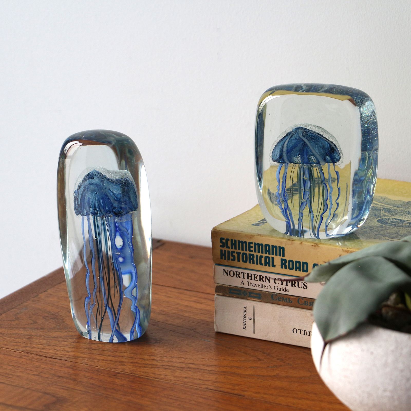 JELLYFISH TWISTED LEG "Square/Blue"