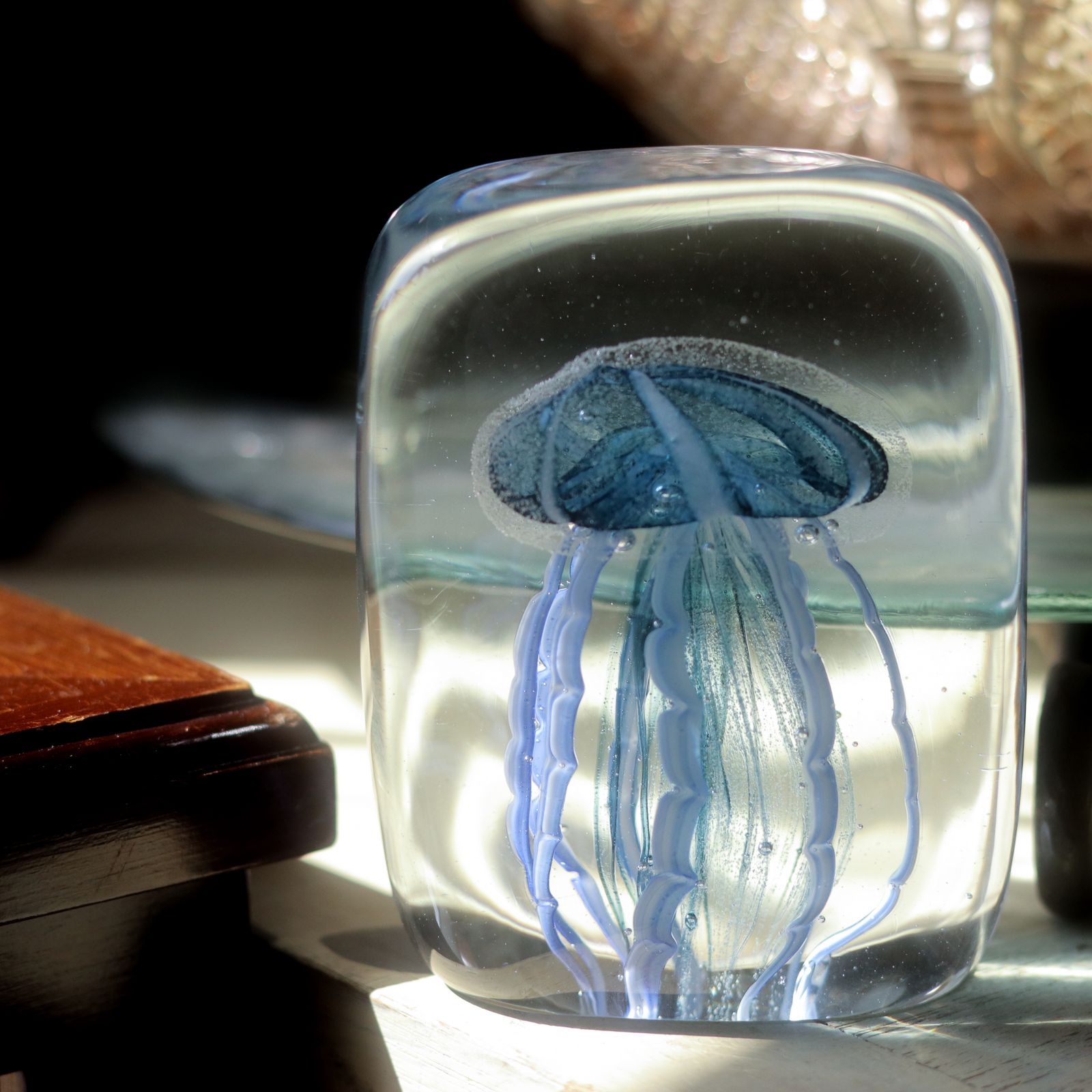 JELLYFISH TWISTED LEG "Square/Blue"