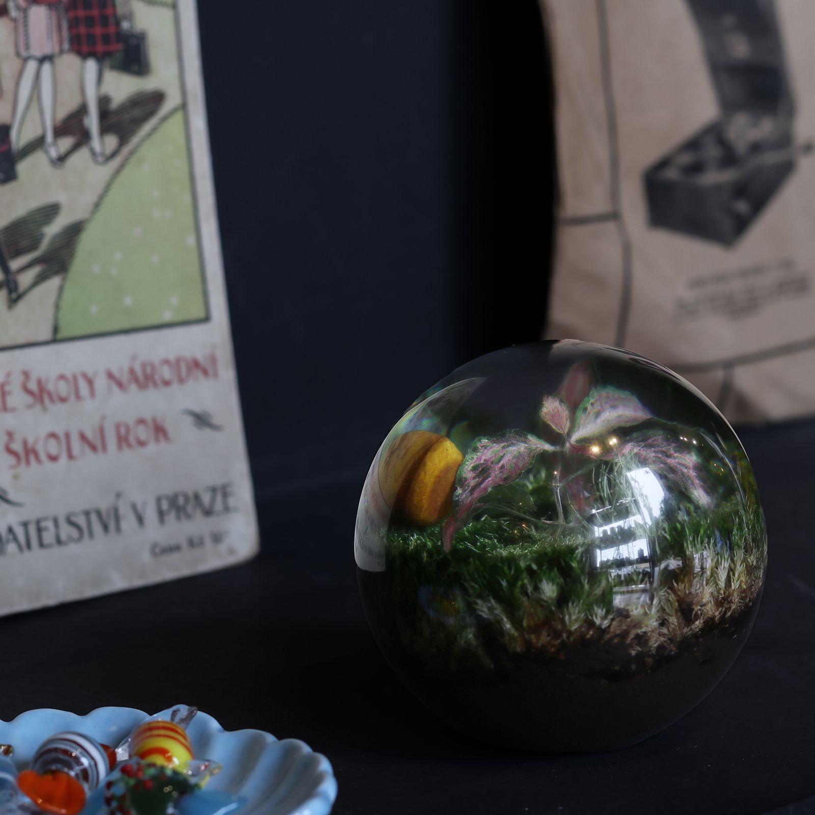 「EVER LEAF BALL」Fittonia Red