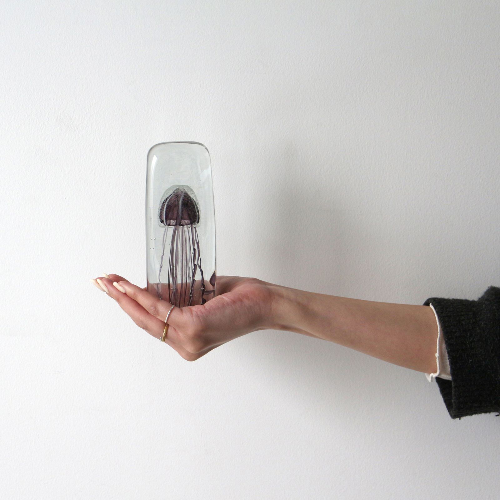 JELLYFISH TWISTED LEG "Tall/Purple"