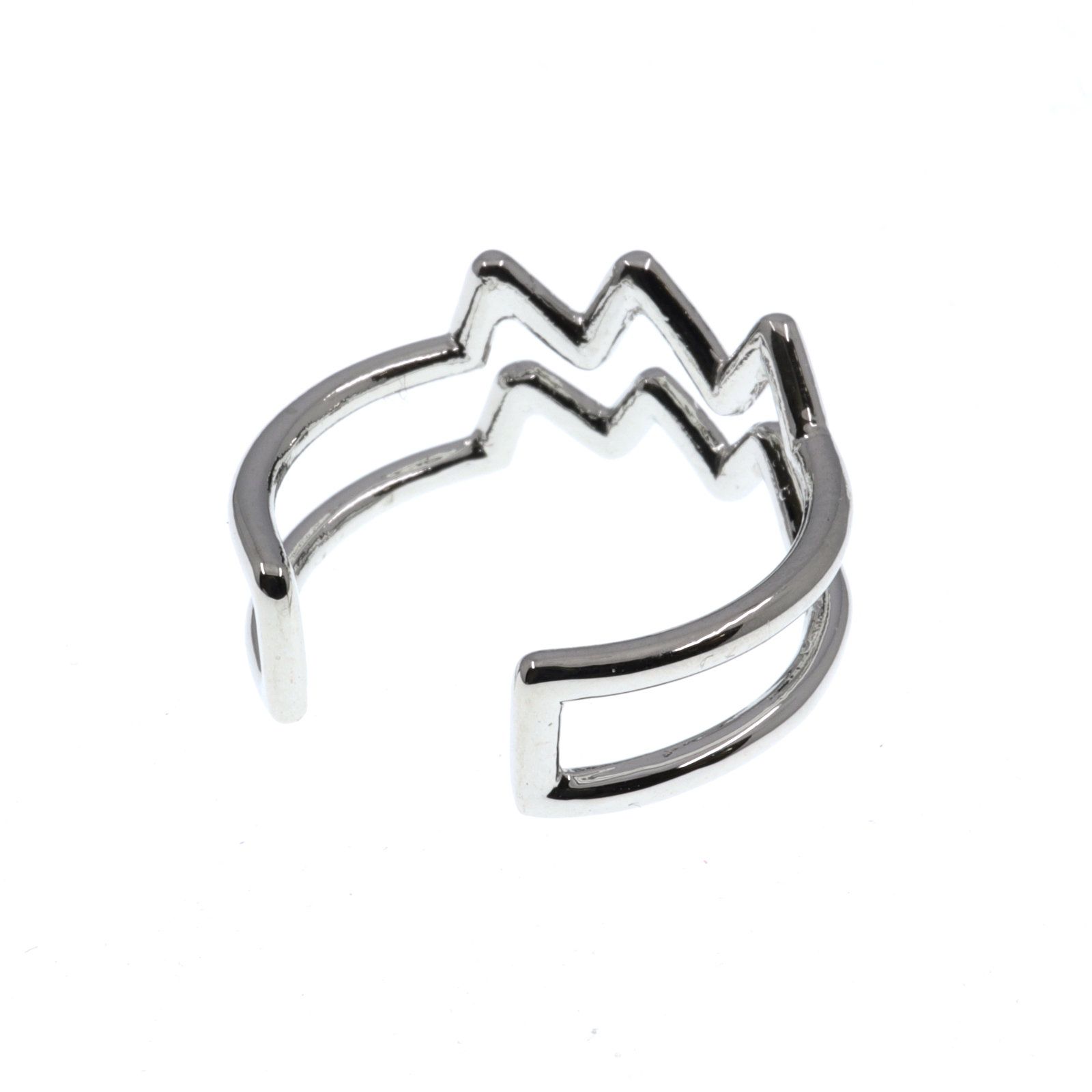 「horoscope ring Aquarius」リング みずがめ座 シルバー