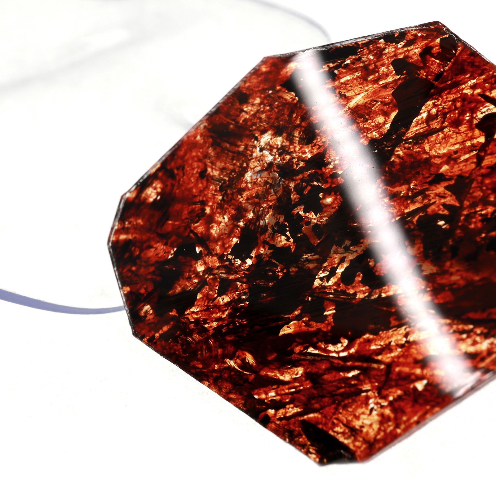 「Tortoiseshell Circl+Clear」イヤリング