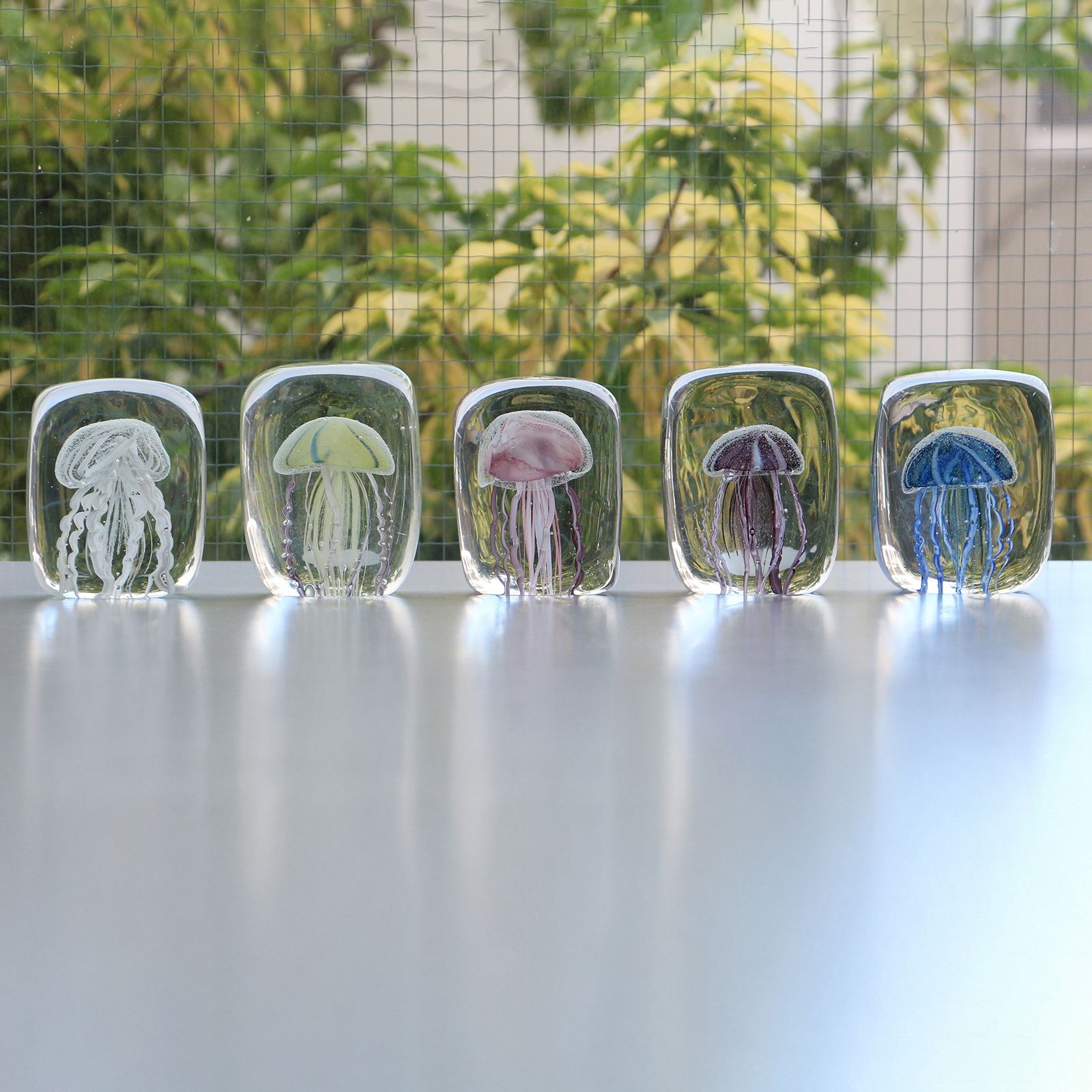 JELLYFISH TWISTED LEG "Square/Purple"