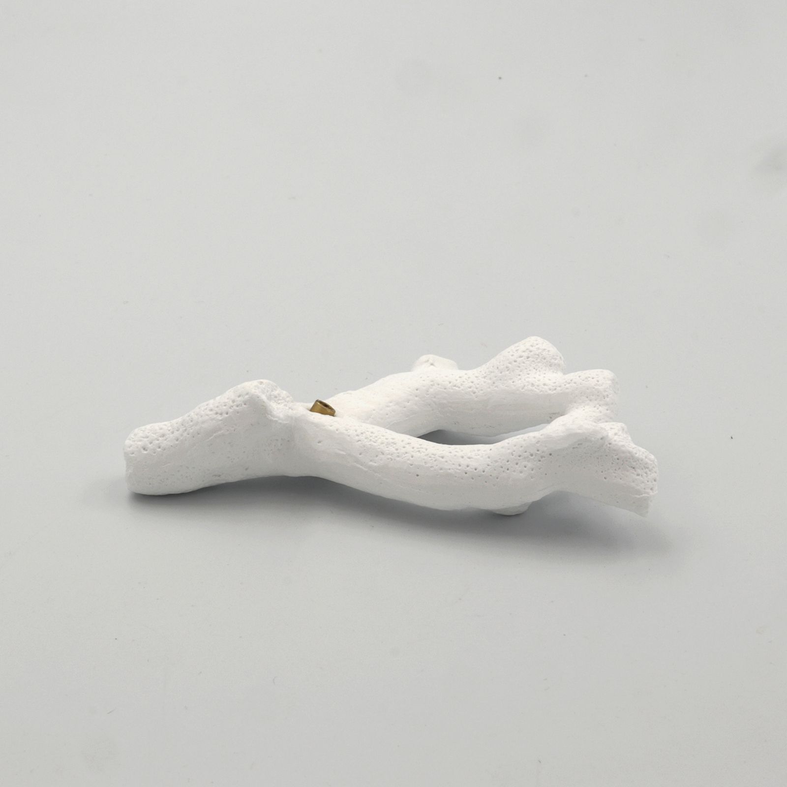 「coral incense holder」staghorn インセンスホルダー