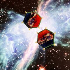 「TRIBO Hexagon」イヤリング【La cosmologie de sachikoism】