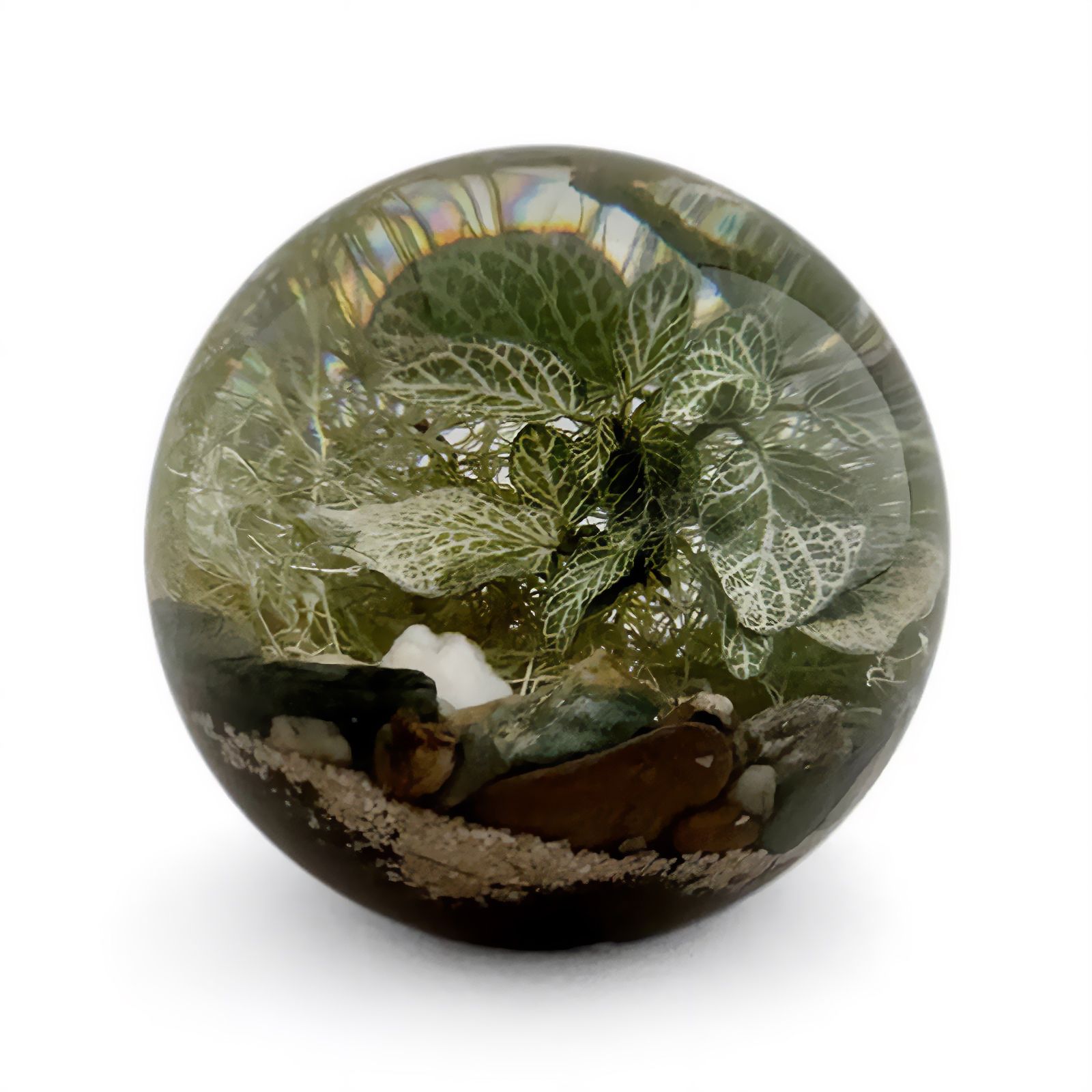「EVER LEAF BALL」Fittonia Green