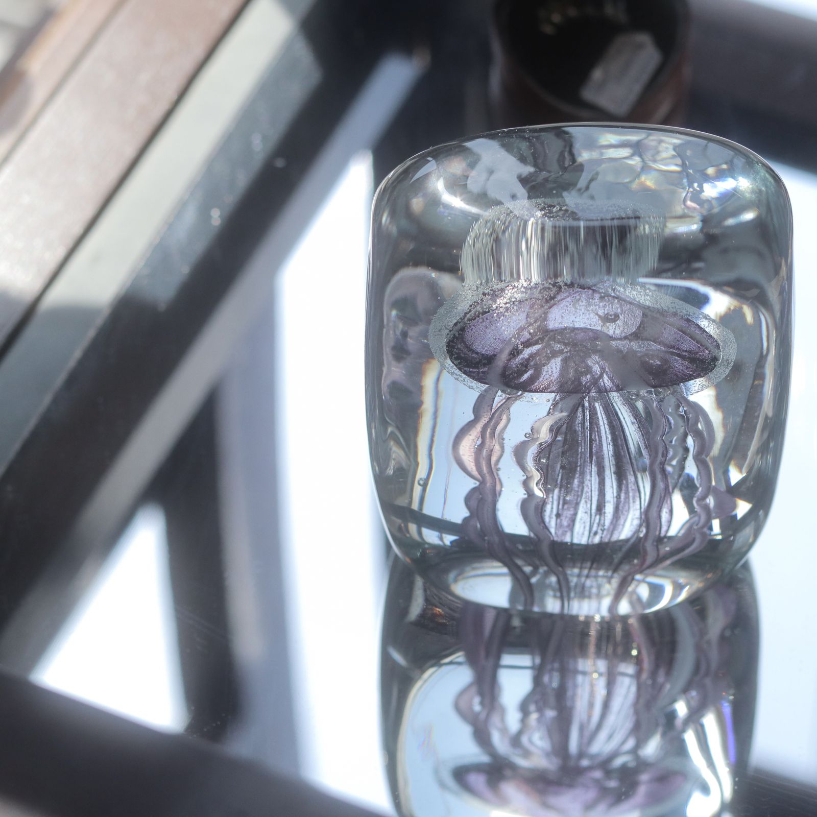 JELLYFISH TWISTED LEG "Square/Purple"