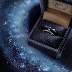 【Silver Jewel】horoscope ring Pisces うお座 シルバー925