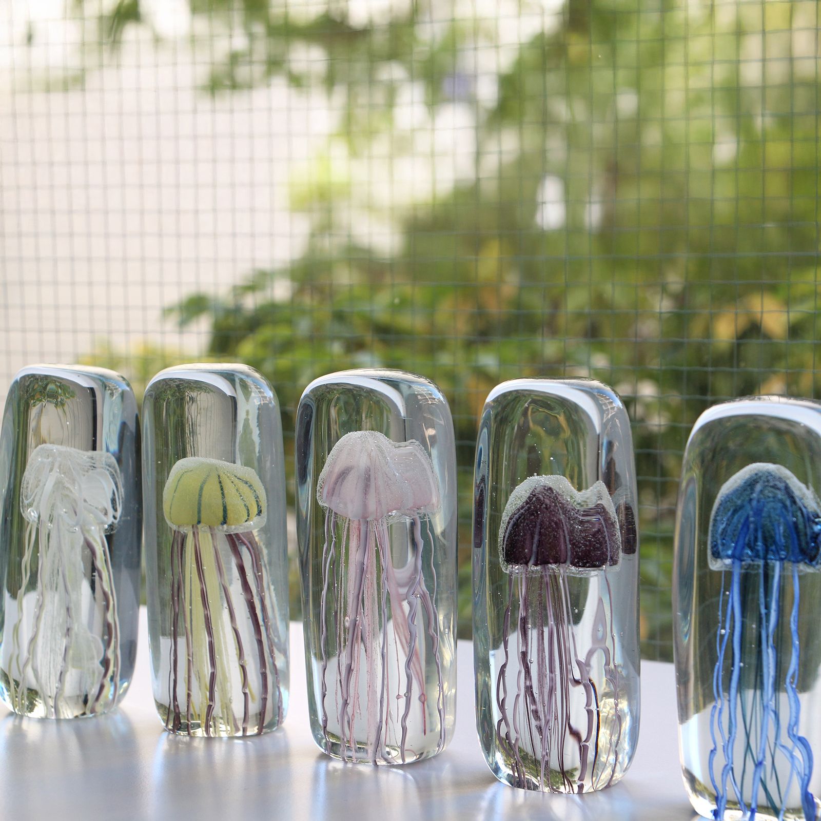 JELLYFISH TWISTED LEG "Tall/Purple"