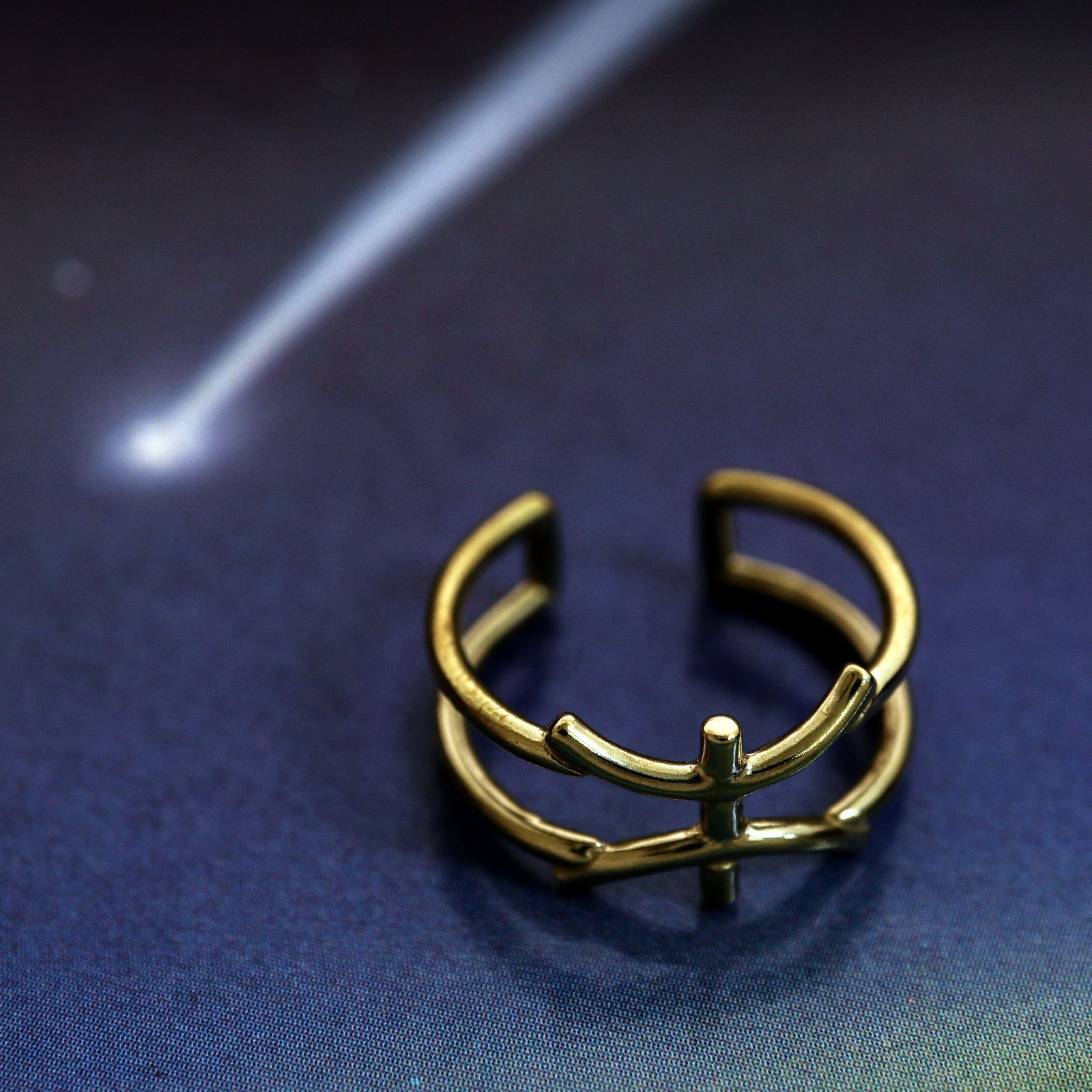 「horoscope ring Pisces」リング うお座 ゴールド
