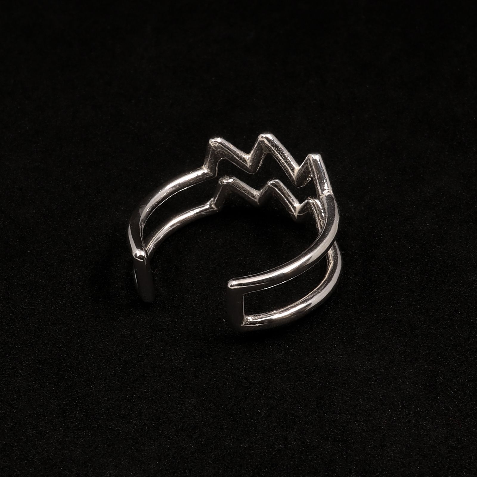 【Silver Jewel】horoscope ring Aquarius みずがめ座 シルバー925
