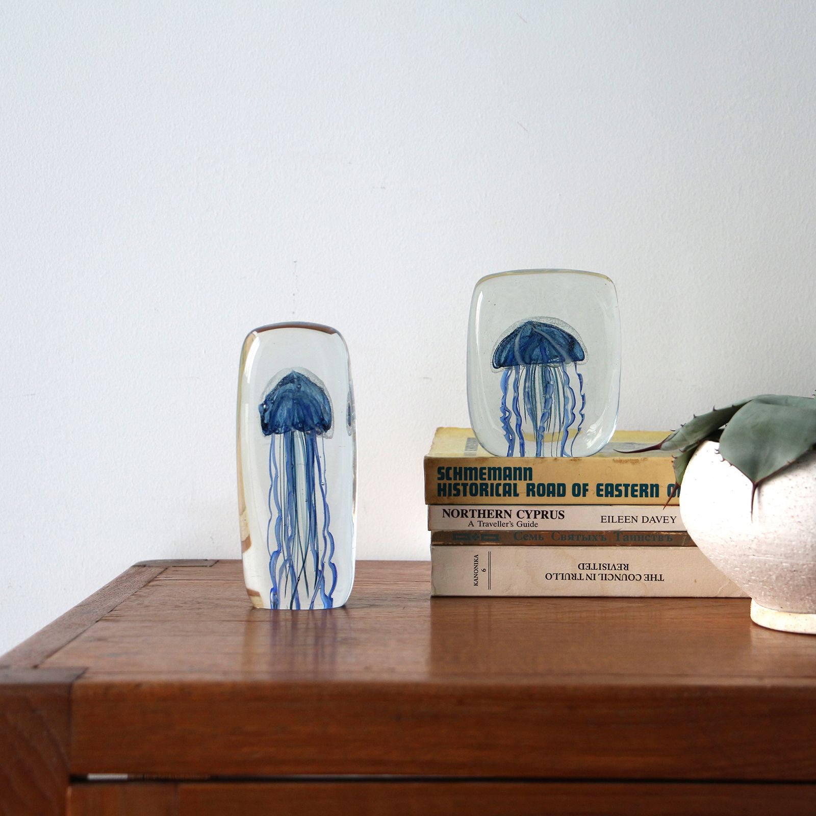 JELLYFISH TWISTED LEG "Square/Blue"