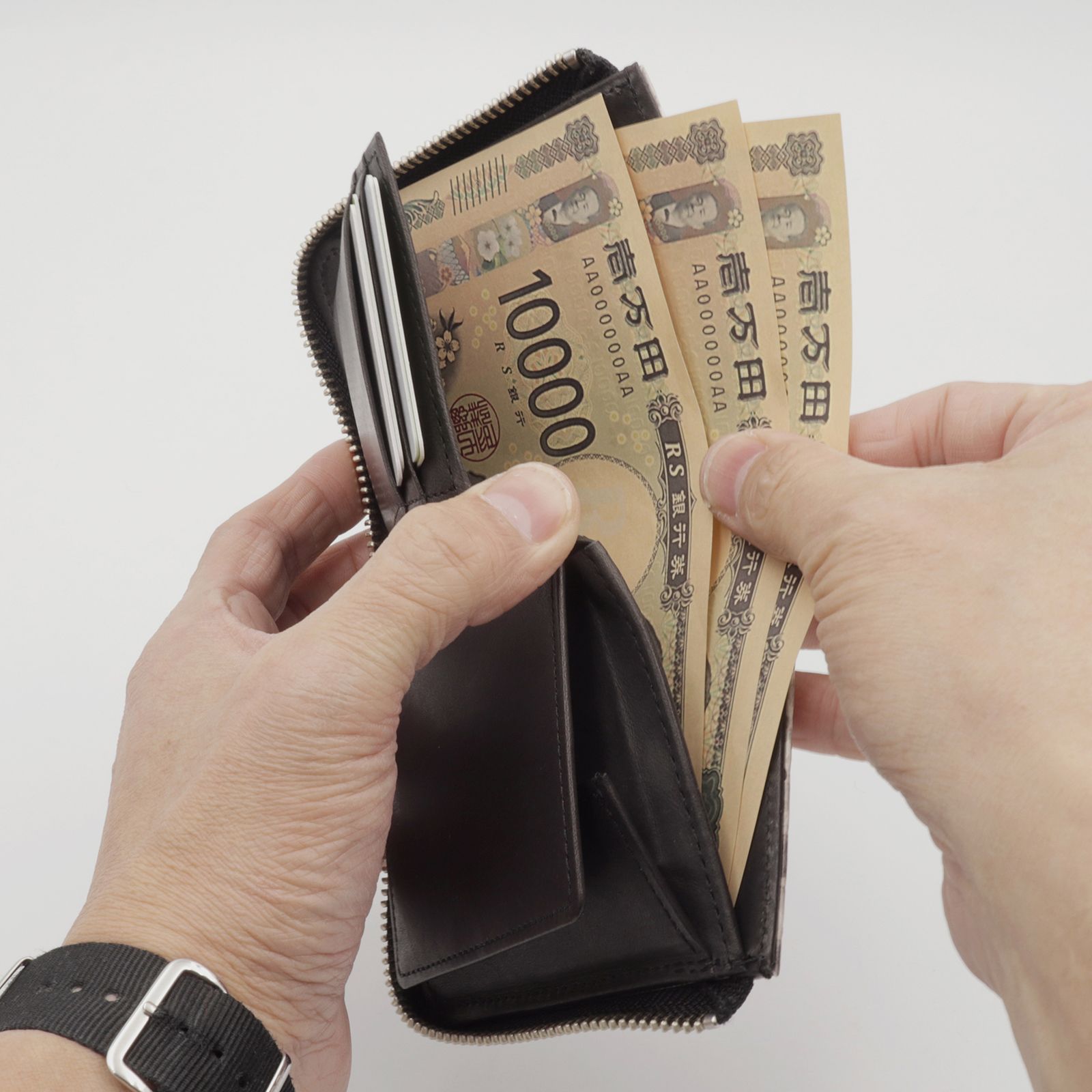 HEBI」Lファスナーコンパクト財布 ブラック