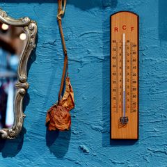 「Analogue School Thermometer」 温度計 TFA ドイツ