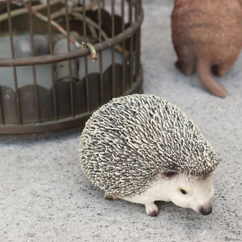 Pet Bank Hedgehog