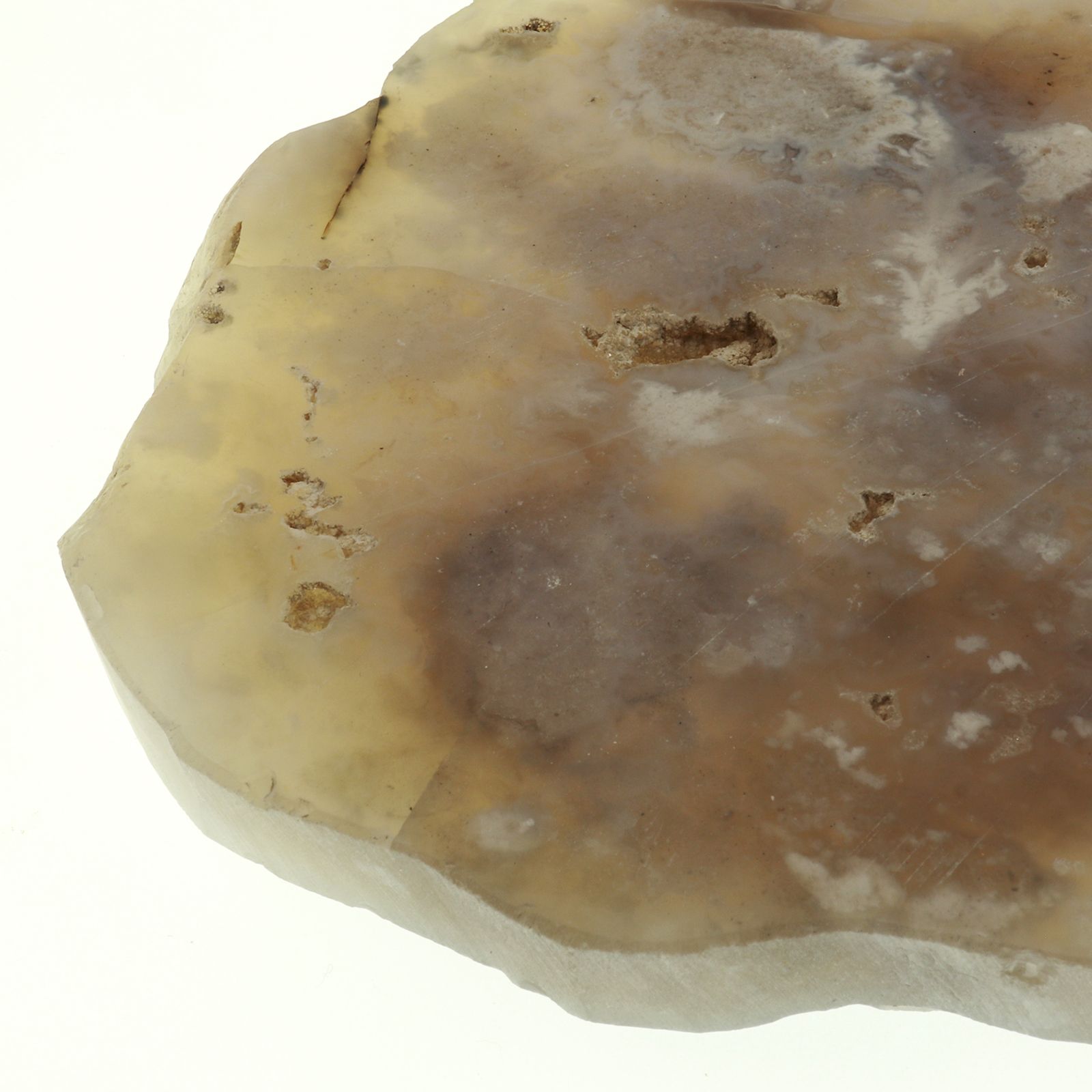 「AGATE COASTER」コースター