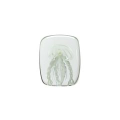 JELLYFISH TWISTED LEG "Square/White"