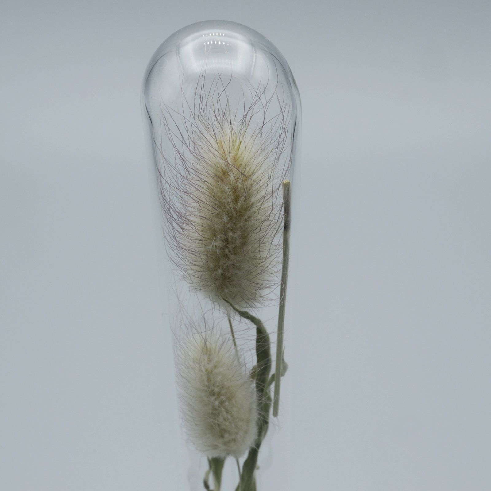 「HERBARIUM BRASS GLASS DOME & VASE SOLID」ラグラス