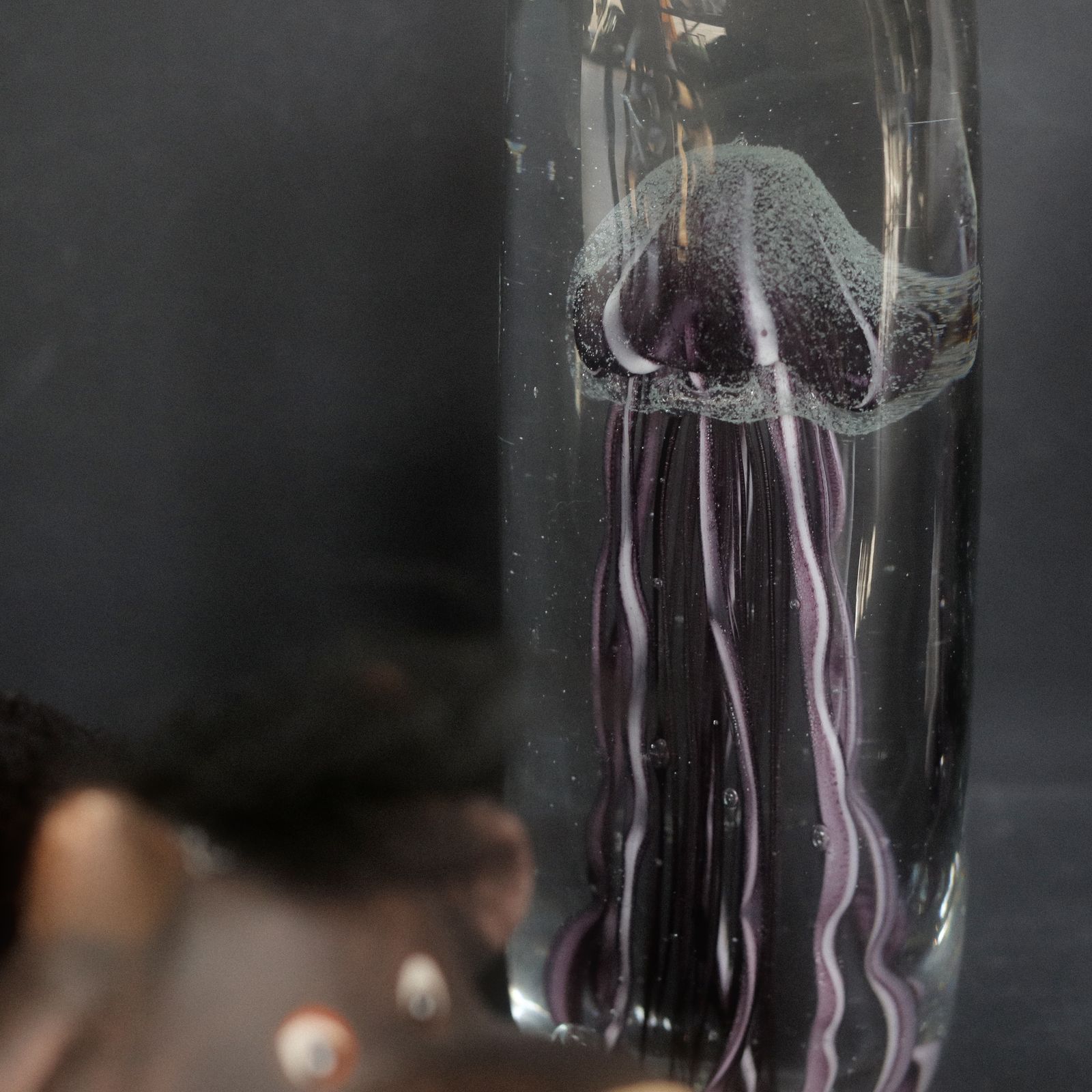 JELLYFISH TWISTED LEG "Tall/Purple"