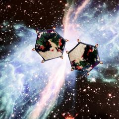 「TRIBO Hexagon」ピアス【La cosmologie de sachikoism】