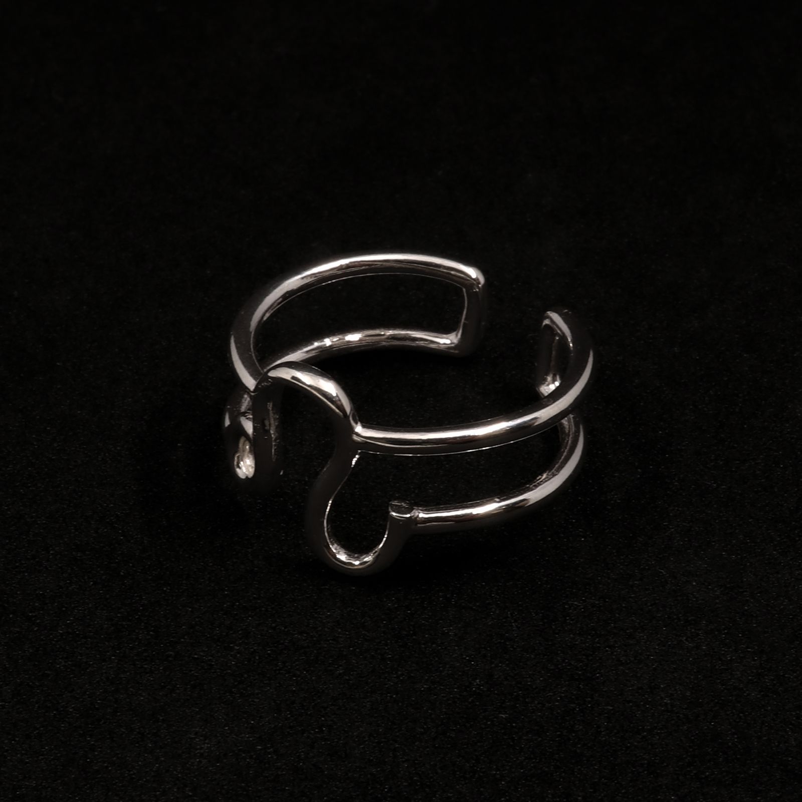 【Silver Jewel】horoscope ring Leo しし座 シルバー925