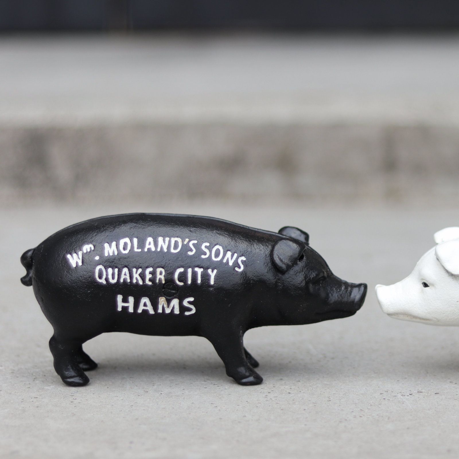 Hams Standing Pig Bank "Black"