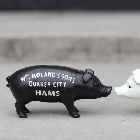 Hams Standing Pig Bank "Black"