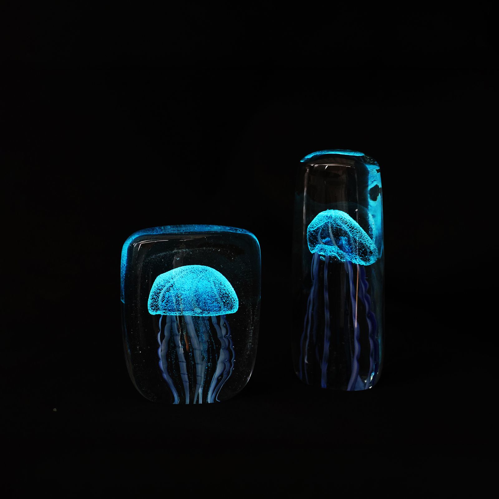 JELLYFISH TWISTED LEG "Square/Purple"