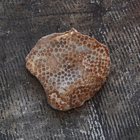 「BEEHIVE COASTER」コースター