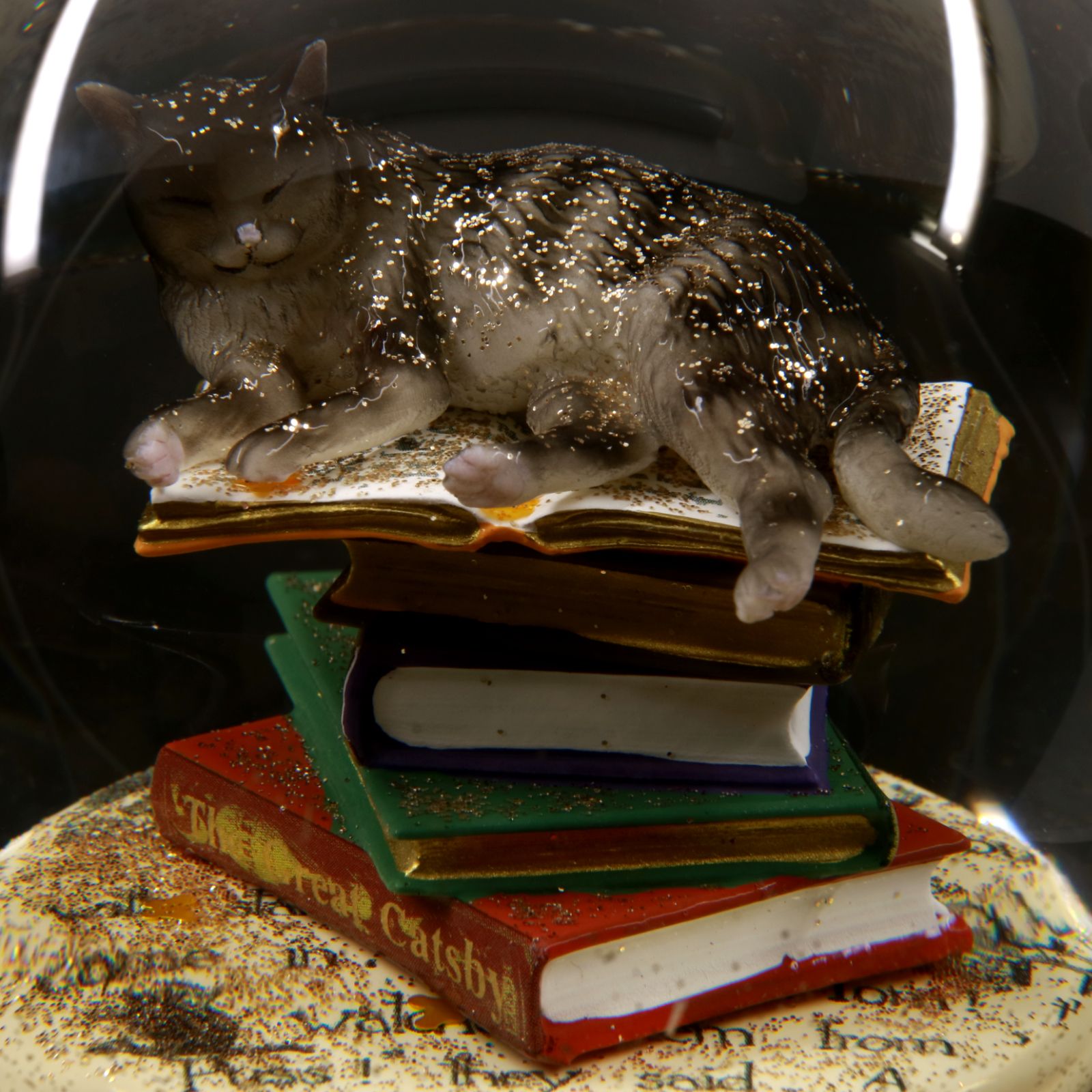 DETAIL INC. - スノードーム「Cat on Books」 Cool Snow Globes