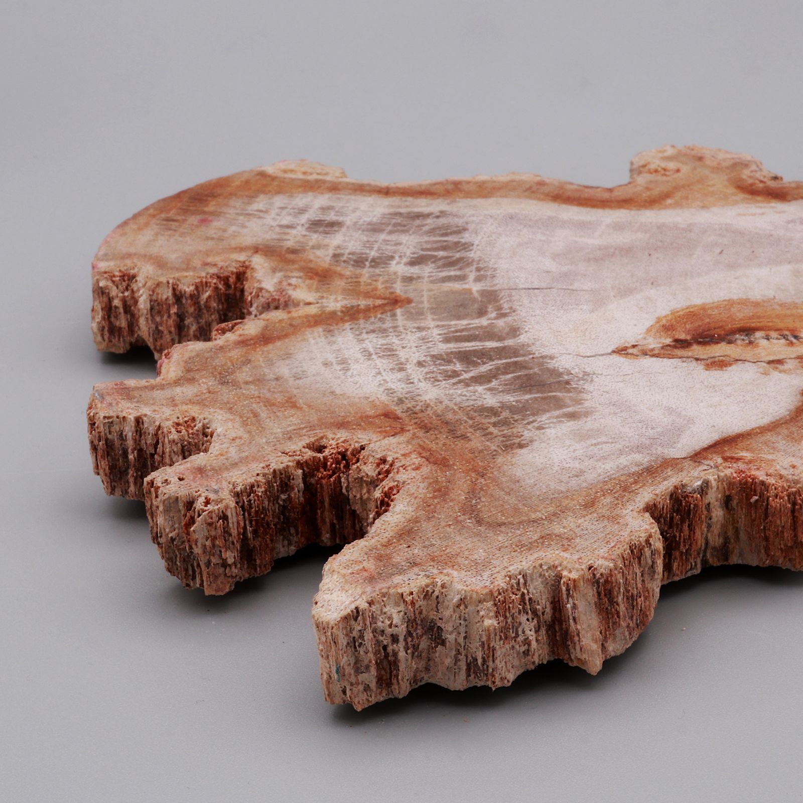 「WOOD COASTER」コースター ナチュラル