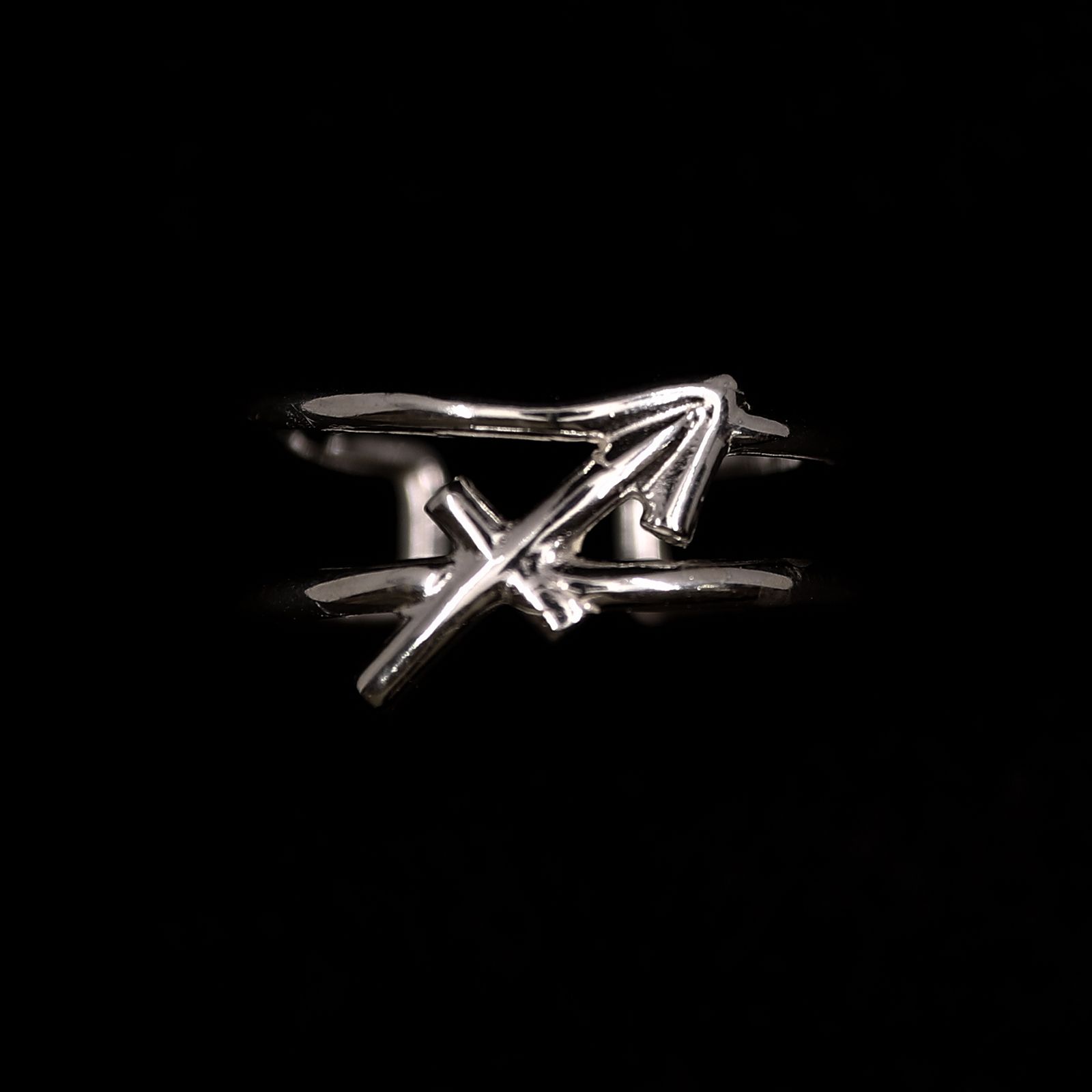 【Silver Jewel】horoscope ring Sagittarius いて座 シルバー925