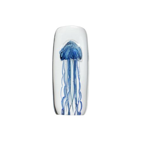 JELLYFISH TWISTED LEG "Tall/Blue"