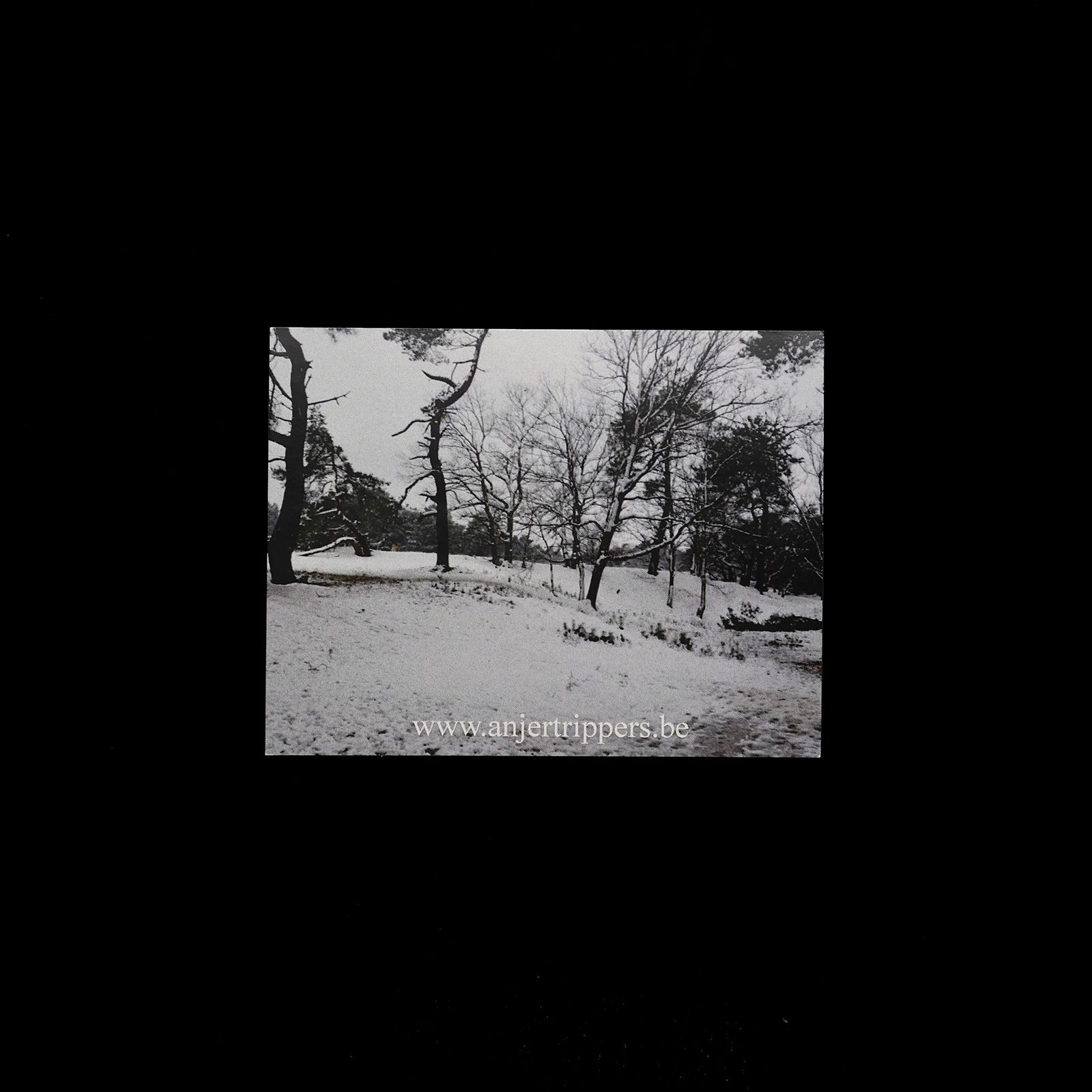 「anjerttrippers」ヴィンテージステッカー ヨーロッパ