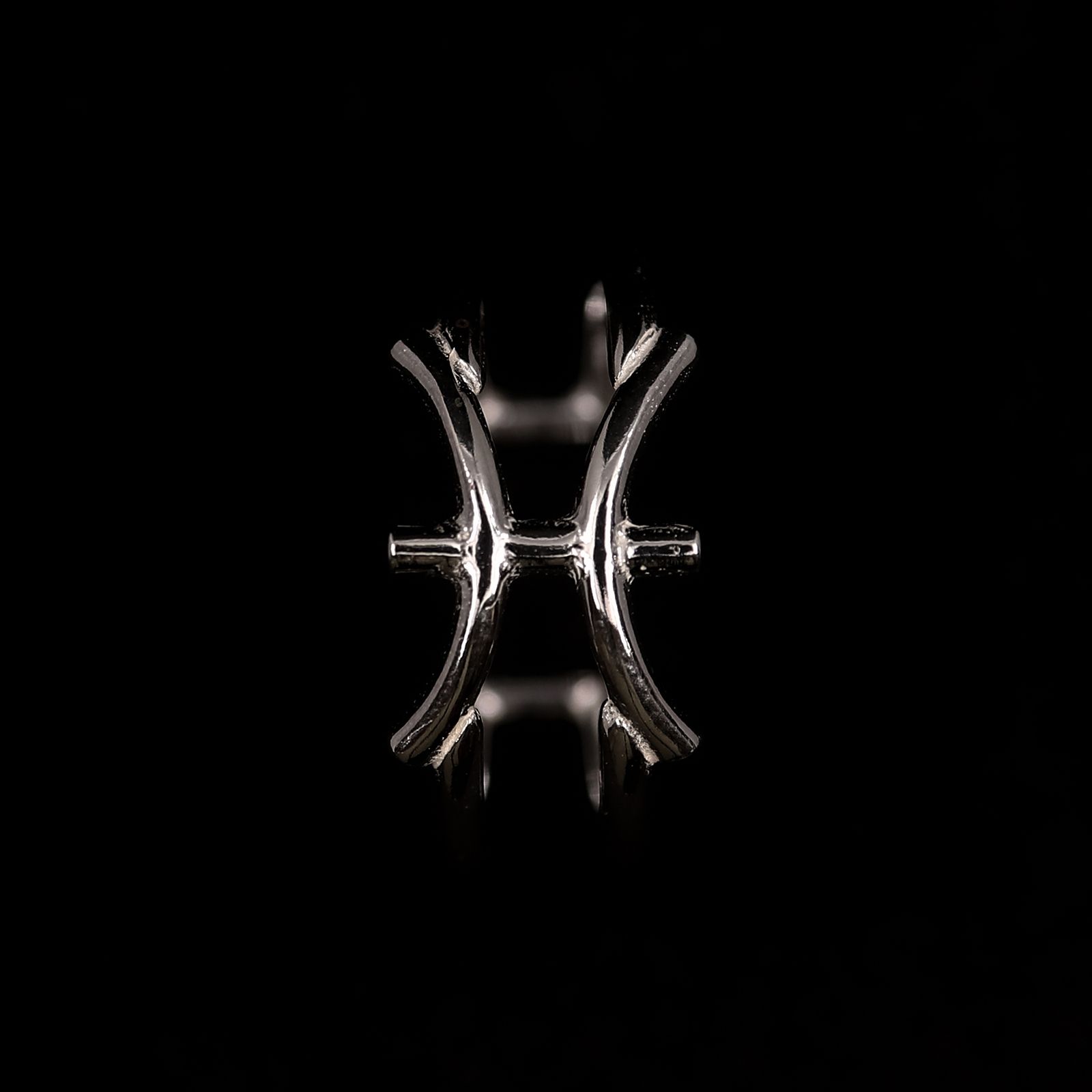 【Silver Jewel】horoscope ring Pisces うお座 シルバー925