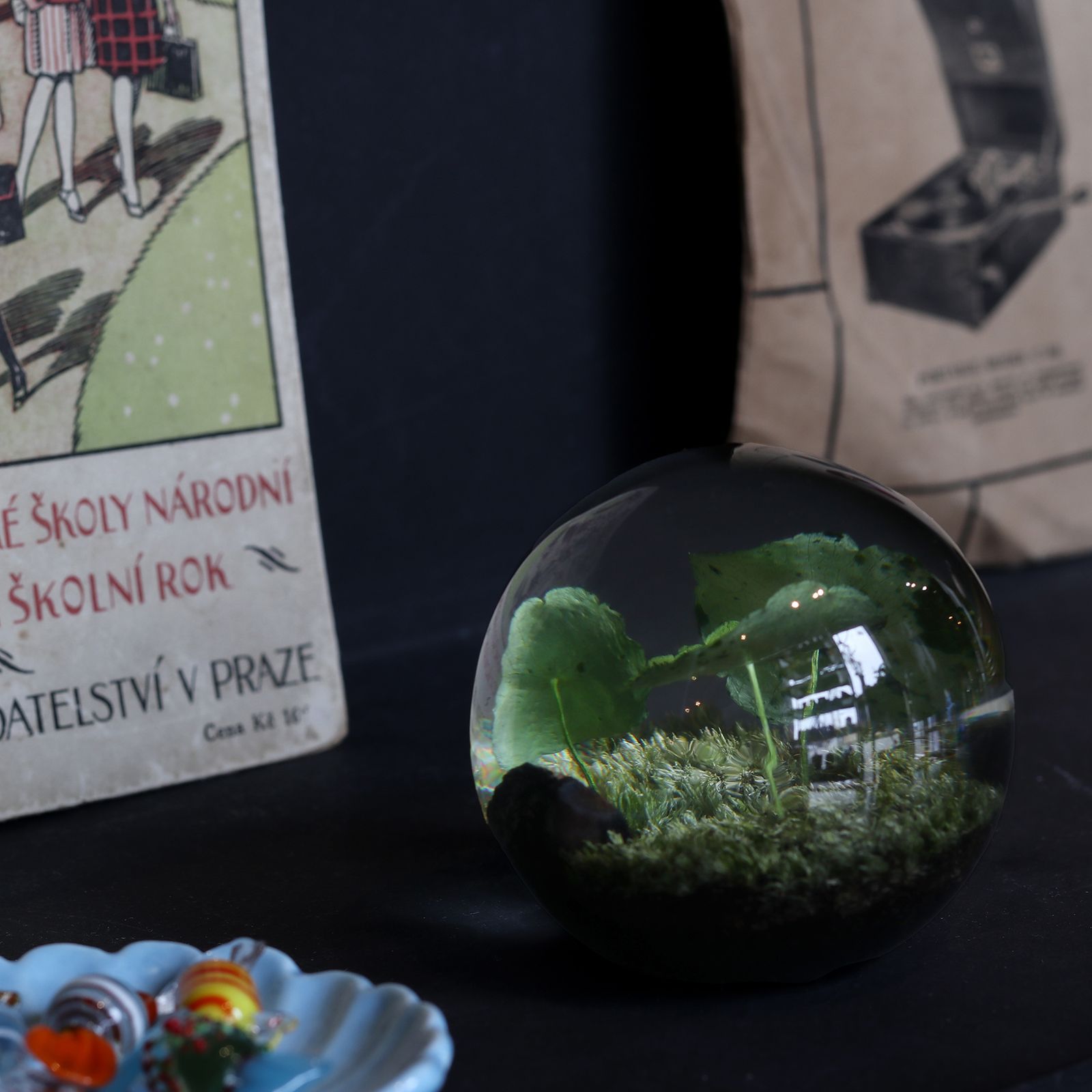 「EVER LEAF BALL」Copper Coin Glass