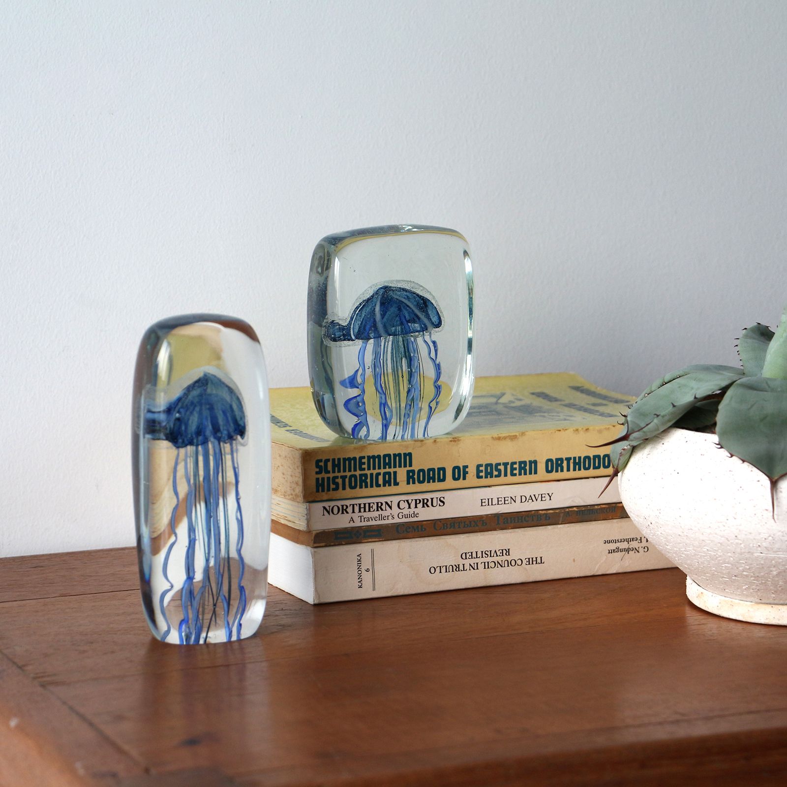 JELLYFISH TWISTED LEG "Square/Blue"