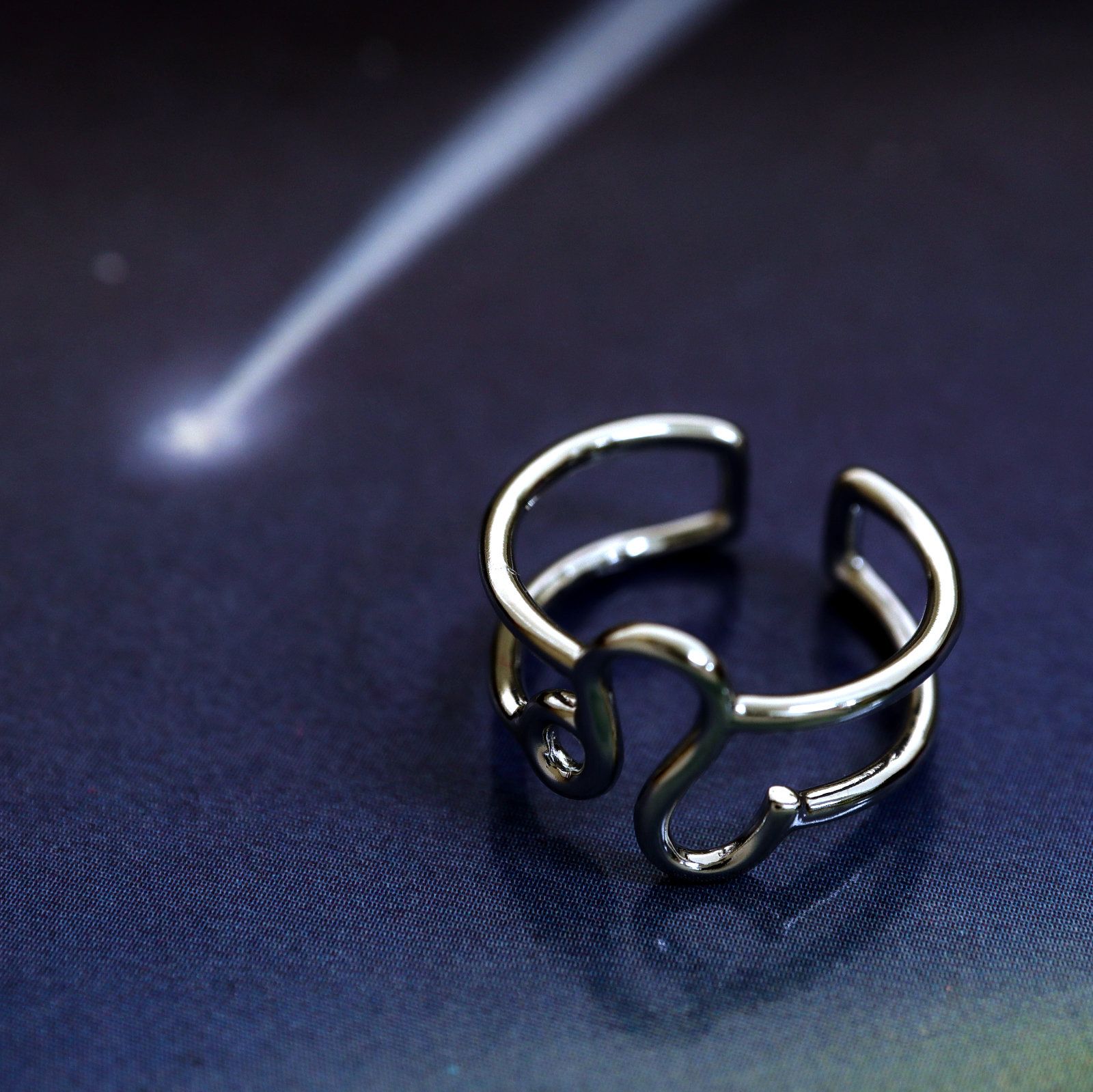 「horoscope ring Leo」リング しし座 シルバー