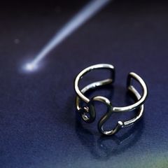 「horoscope ring Leo」リング しし座 シルバー
