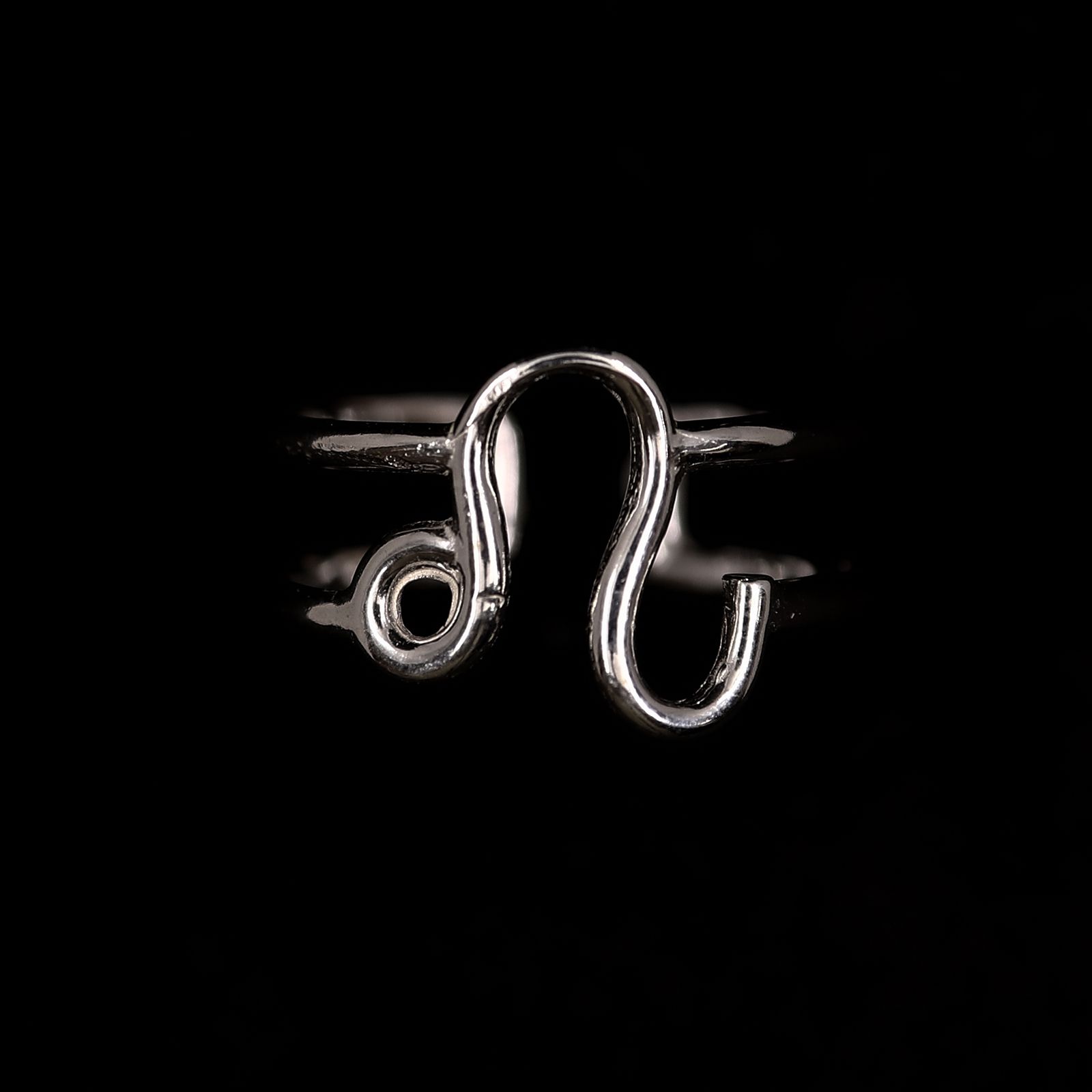 【Silver Jewel】horoscope ring Leo しし座 シルバー925