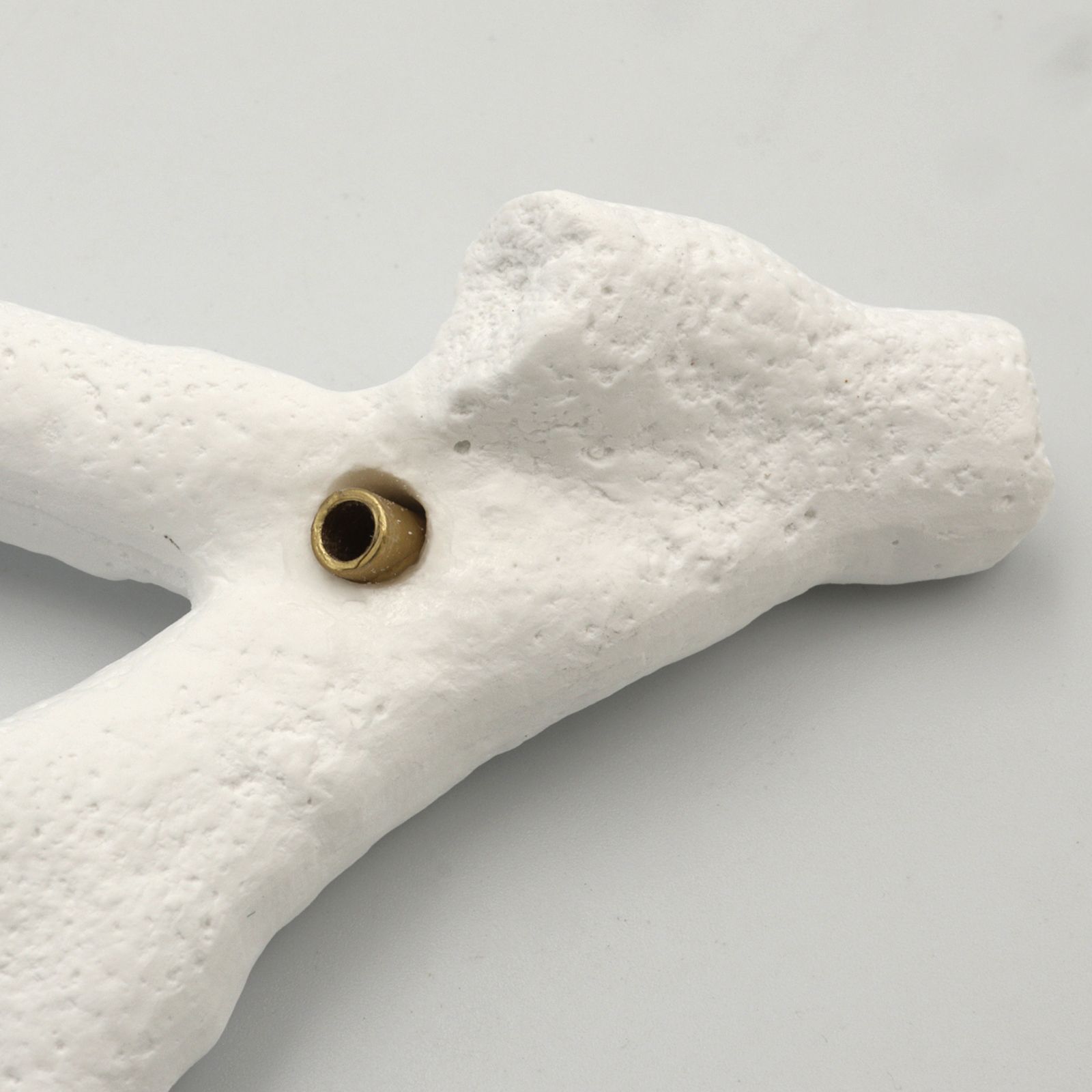 「coral incense holder」staghorn インセンスホルダー