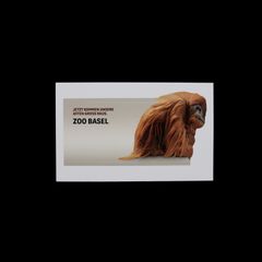 「ZOO BASEL」ヴィンテージステッカー ヨーロッパ