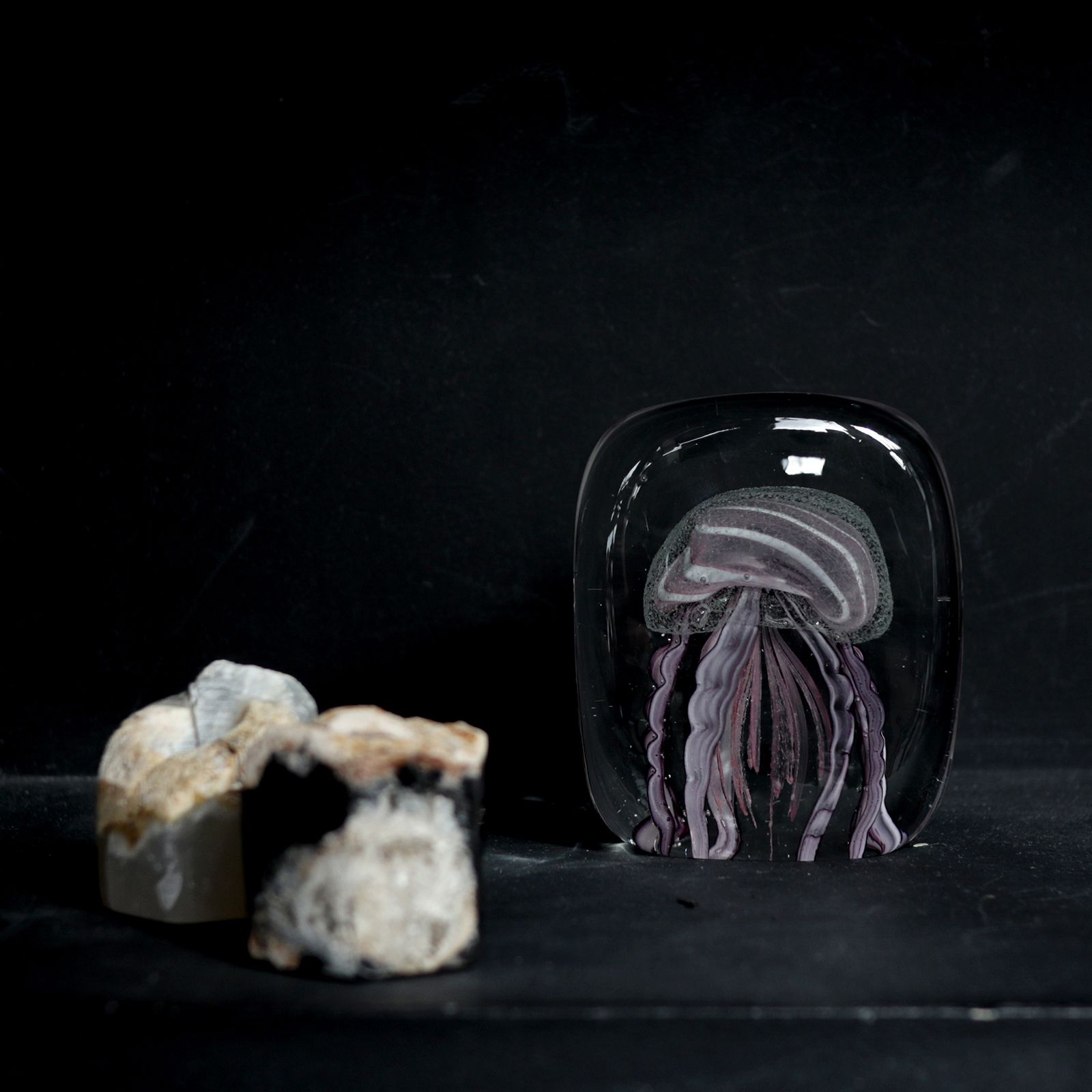 ケミー DETAIL INC. - JELLYFISH TWISTED LEG 