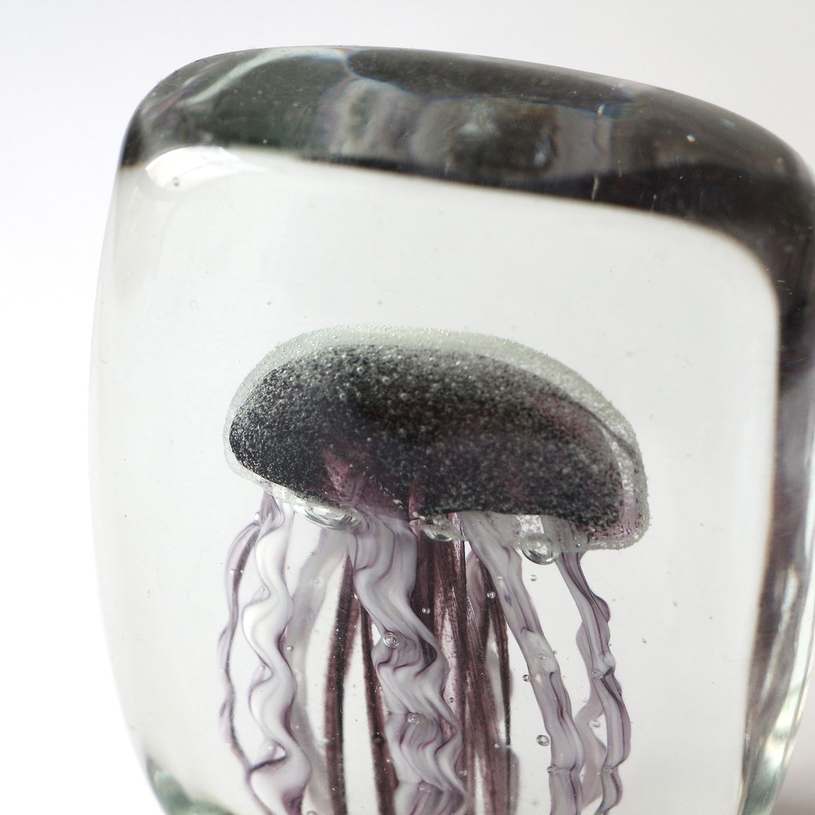 JELLYFISH TWISTED LEG "Square/Purple"