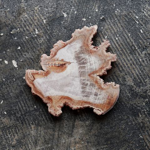 「WOOD COASTER」コースター ナチュラル