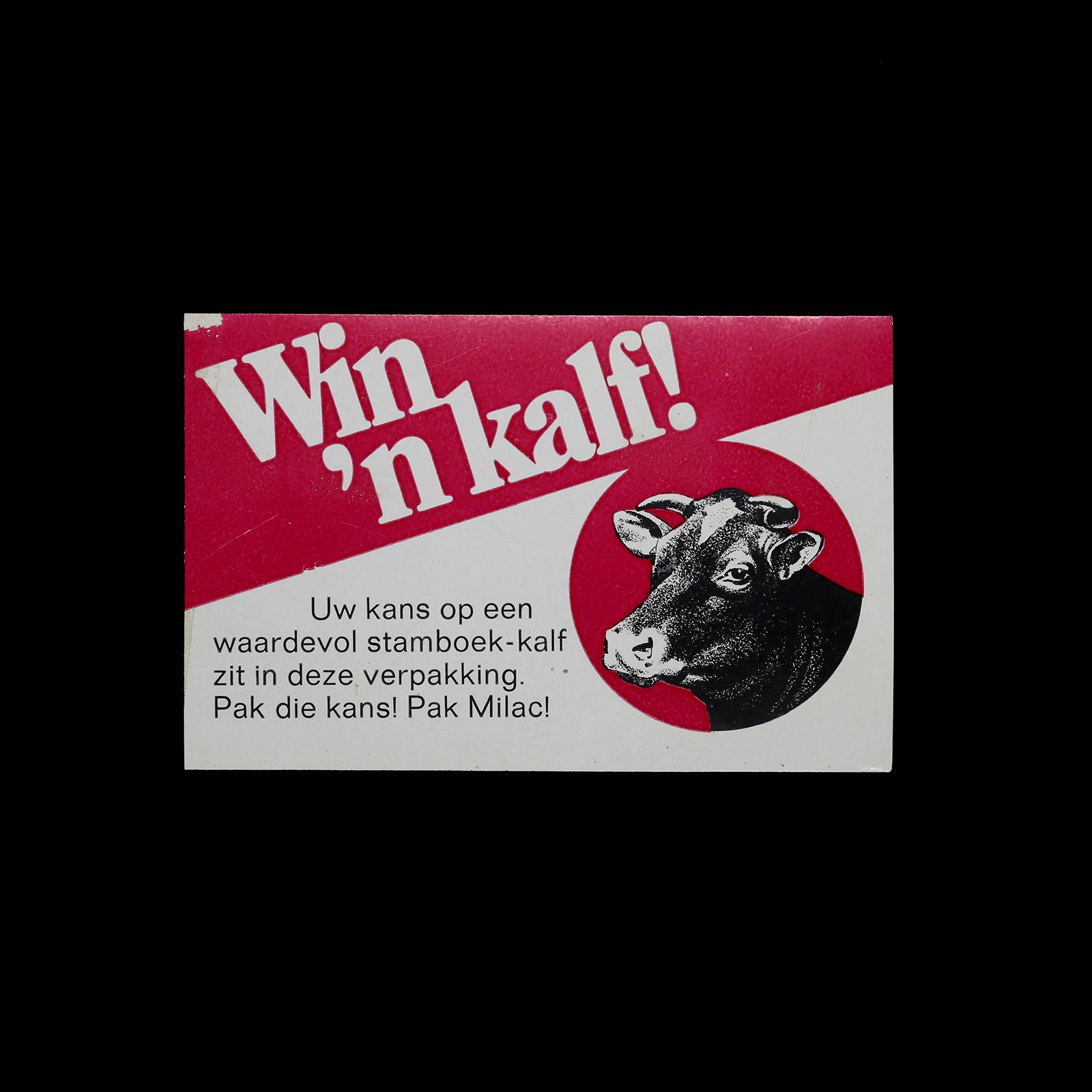 「Win 'n kalf」ヴィンテージステッカー ヨーロッパ