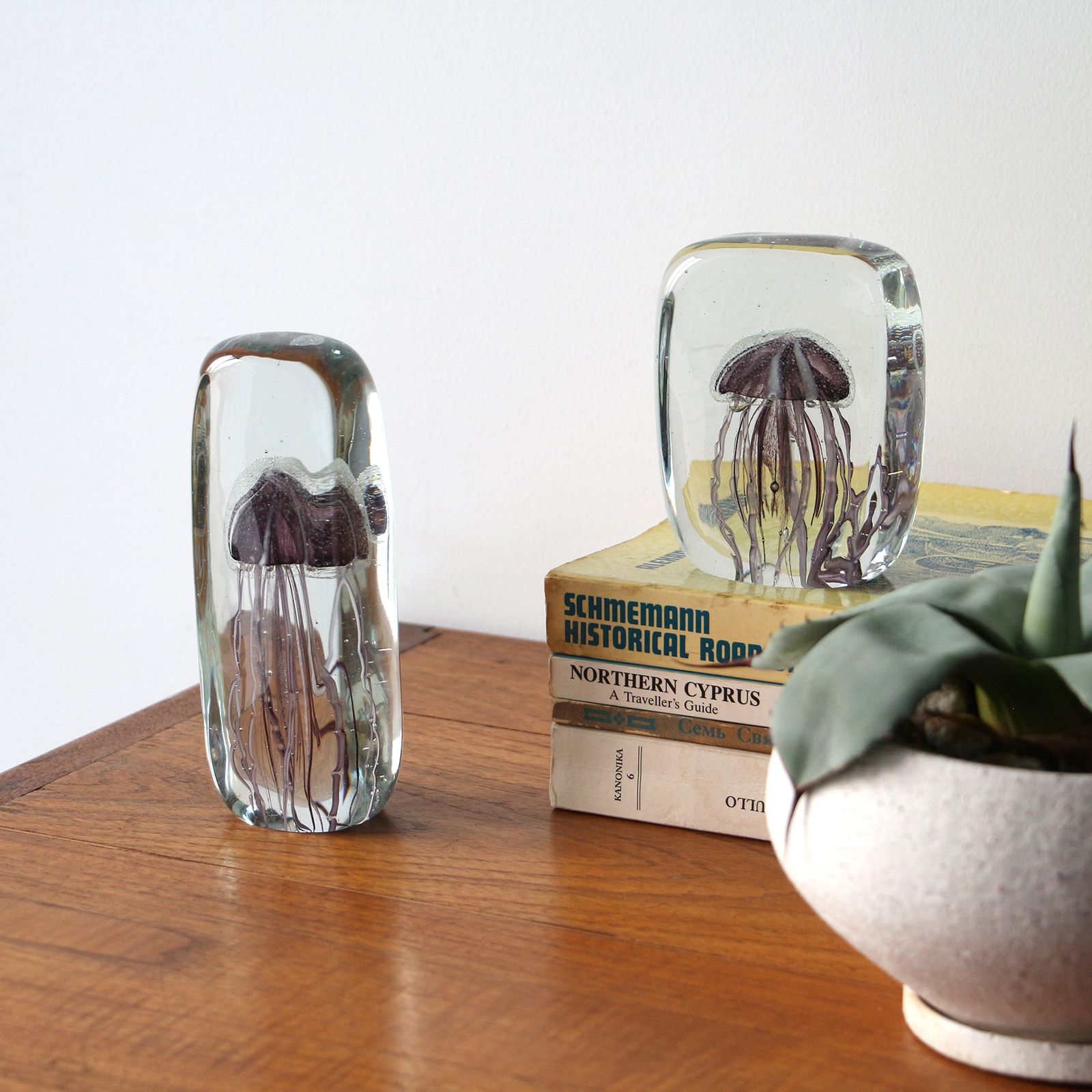 JELLYFISH TWISTED LEG "Square/Purple"